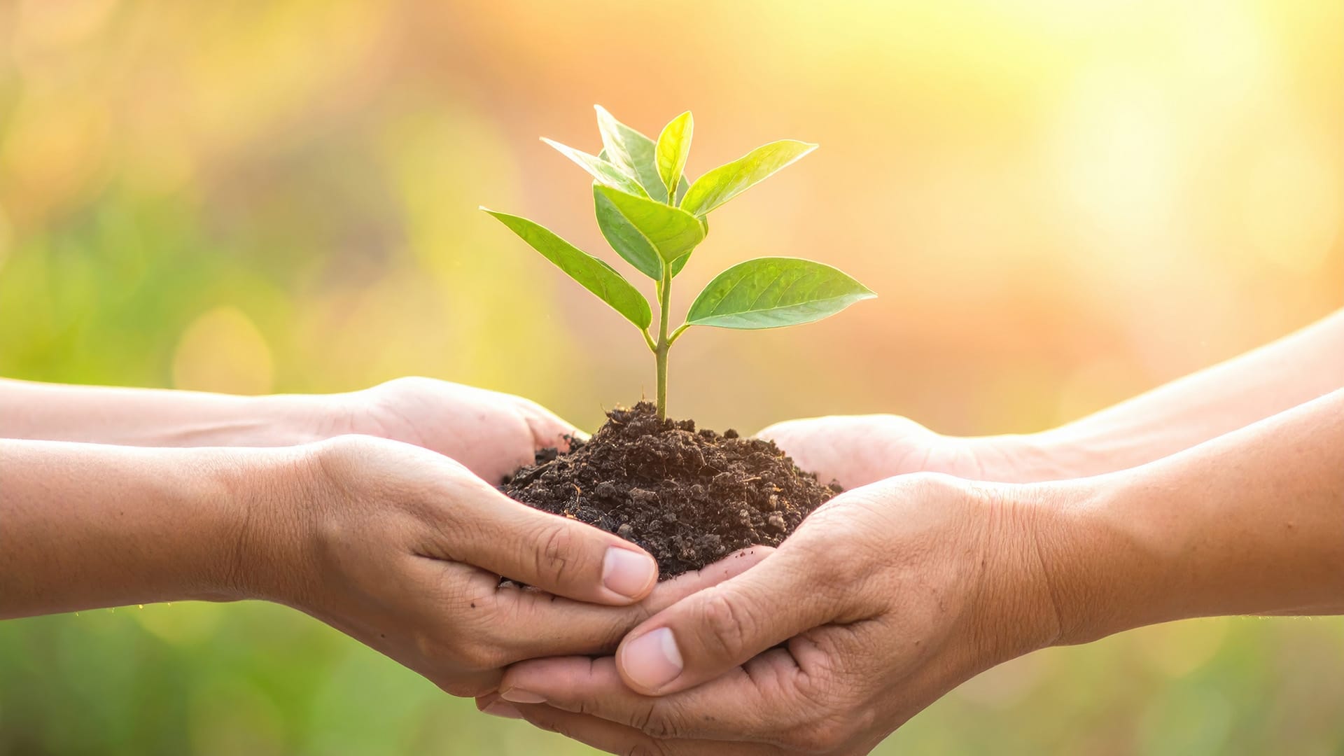 Charitable Giving in 2025: Why Donating Securities May Be Smarter Than Donating Cash